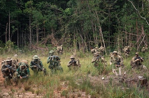 A dozen people in camouflage military uniforms and tactical gear kneel in an open area of the jungle while aiming their rifles.