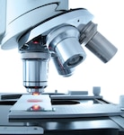 Microscope