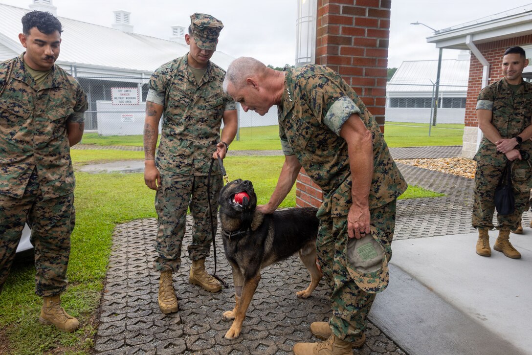 USMC