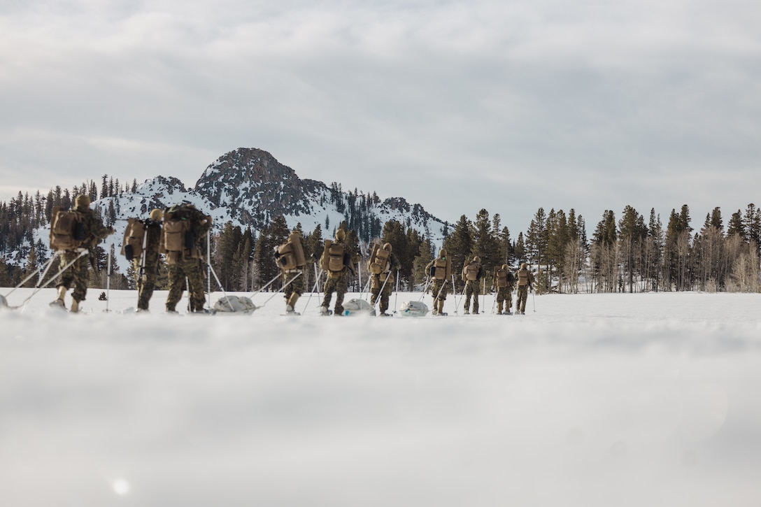 U.S. Marines with 1st Battalion, 6th Marine Regiment, 2d Marine Division, conduct a patrol during Mountain Training Exercise 2-25 at Marine Corps Mountain Warfare Training Center, Bridgeport, California, March 1, 2025. MTX 2-25 is designed to prepare units to survive, strengthen expeditionary warfare tactics, and build confidence in their abilities to operate in a cold weather, high-altitude, mountainous environment. (U.S. Marine Corps photo by Lance Cpl. Hunter J. Kuester)