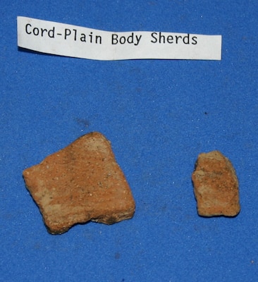 clay pieces on blue background