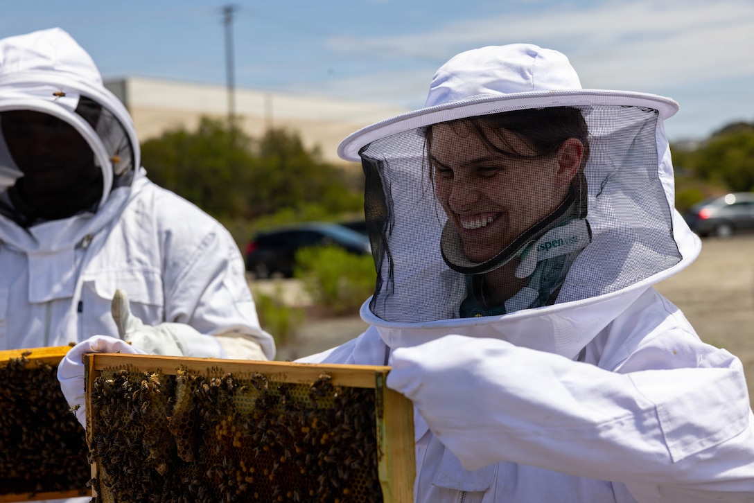 U.S. service members hold frames of a hive box during a beekeeping program meeting at Marine Corps Base Camp Pendleton, California, July 13, 2026. The beekeeper program teaches service members about the ins and outs of beekeeping, the teamwork required in a hive, and the calming effects of the hive’s vibrations and scents. (U.S. Marine Corps photo by Cpl. Jacqueline Akamelu)
