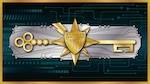 Cyberspace insignia