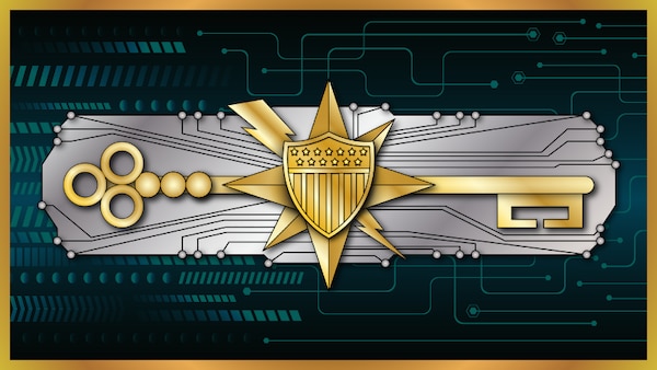 Cyberspace insignia