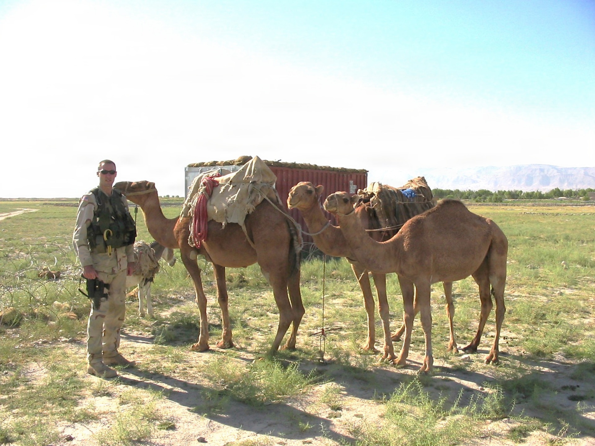 U.S. Army Maj. Brian Wertzler poses with some camels while on deployment in Afghanistan in 2004.