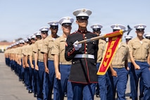 Delta Company Receiving
