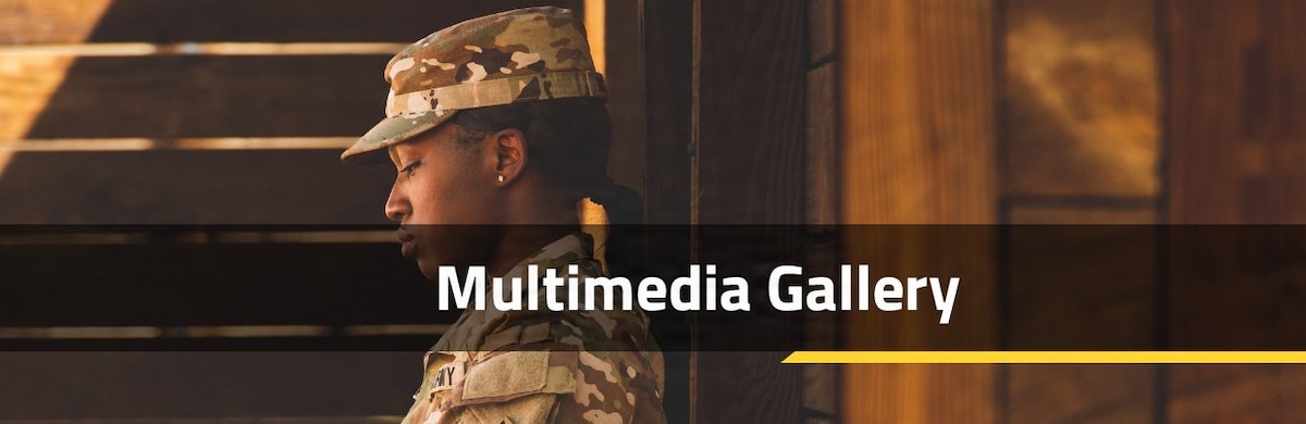 Video Gallery