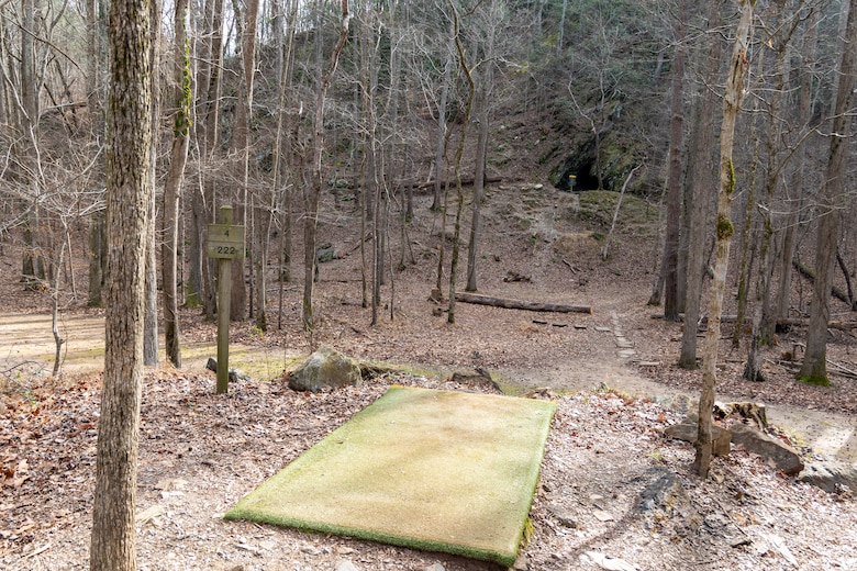 Picture of disc golf tee off.