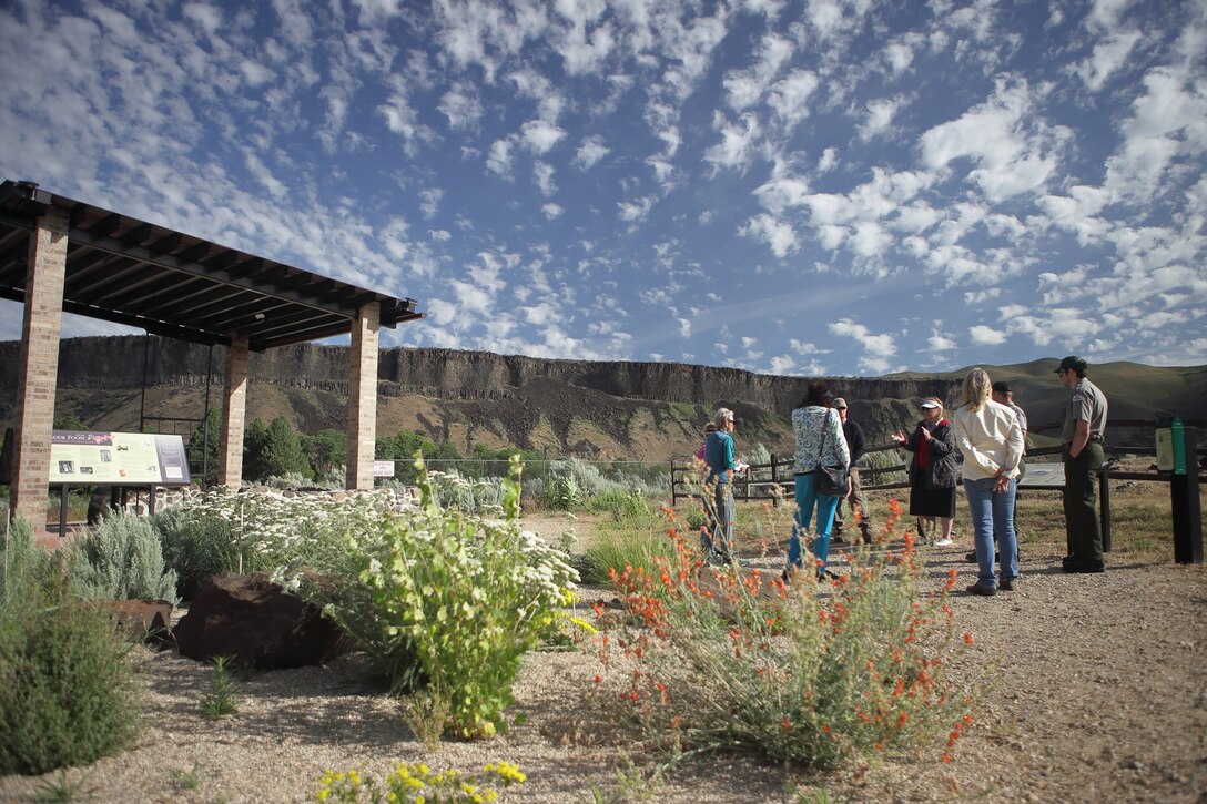 Could not load photo