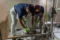 Kody Miyamoto and King Joash (KJ) Rumbaoa, University of Hawaii Manoa students, prepare a two-part Versathane resin for application on Oct. 24, 2025.