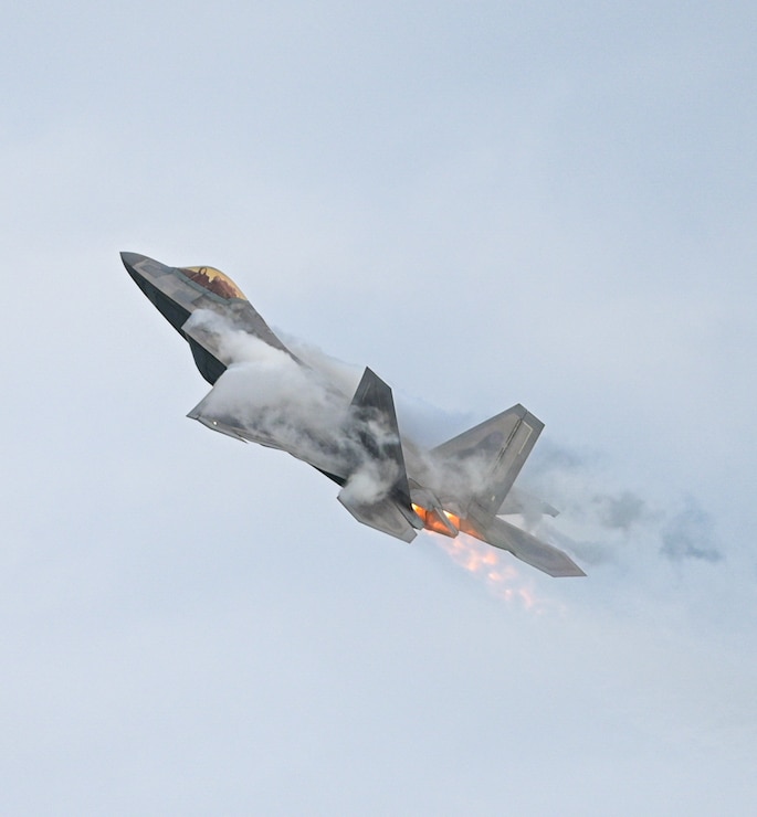 F-22 Raptor