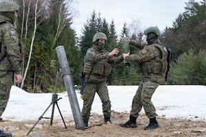 Members of the Kosovo Security Force load a mortar round during live fire training as part of command post exercise Dynamic Front at Grafenwoehr Training Area, Germany, Feb. 7, 2026.