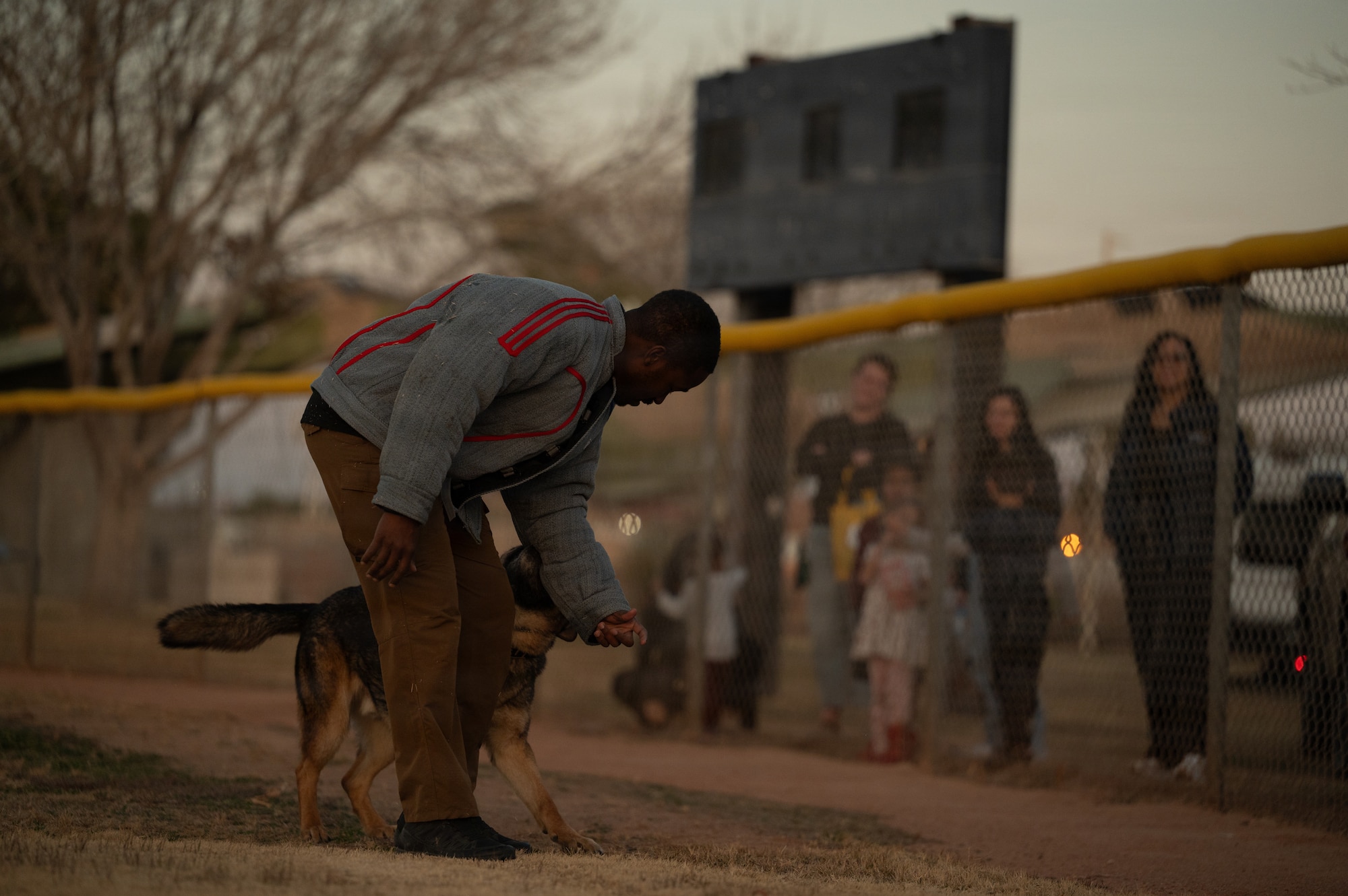 a person trains a dog