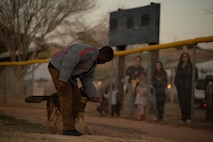 a person trains a dog