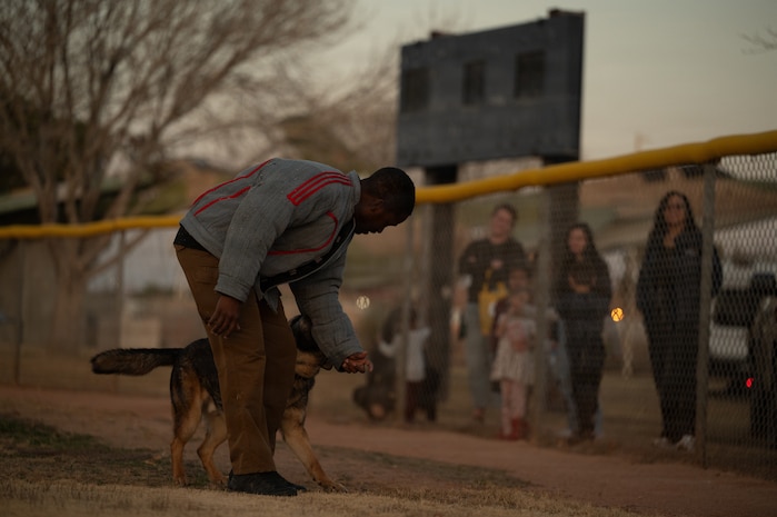 a person trains a dog
