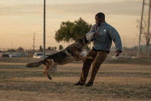 a MWD trains with trainer