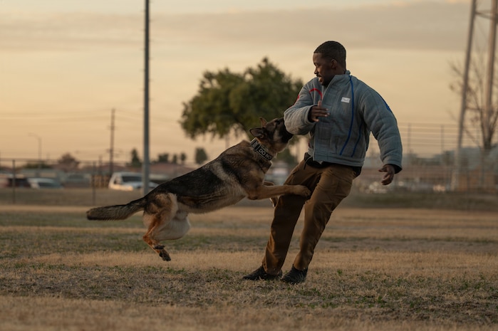 a MWD trains with trainer