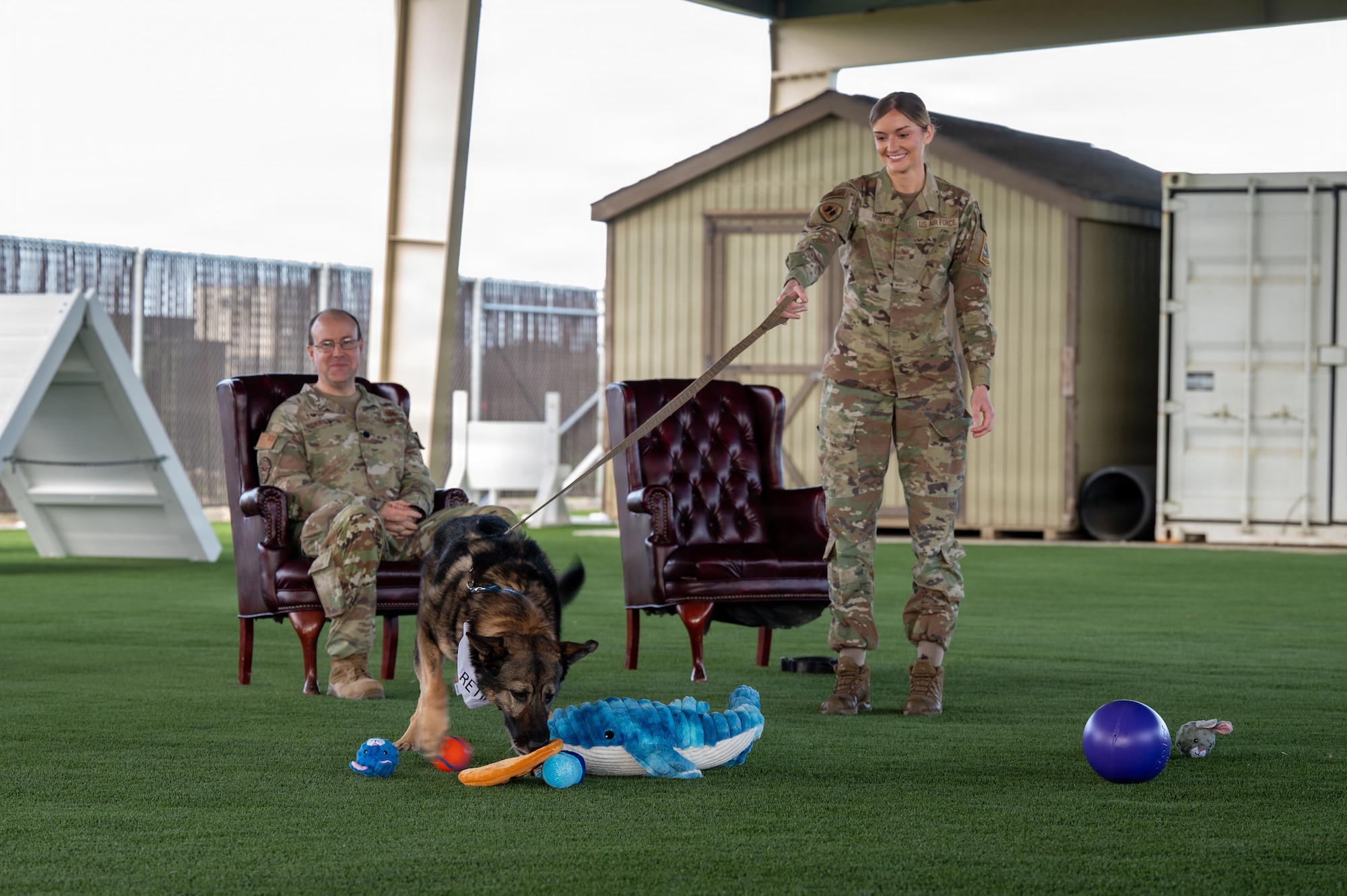 A dog inspects toys outside.