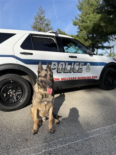 Military Working Dog Flex, 88th Security Forces Squadron patrol explosive detection dog, is pictured in front of a police vehicle April 22, 2025, at the Wright Brothers Memorial.