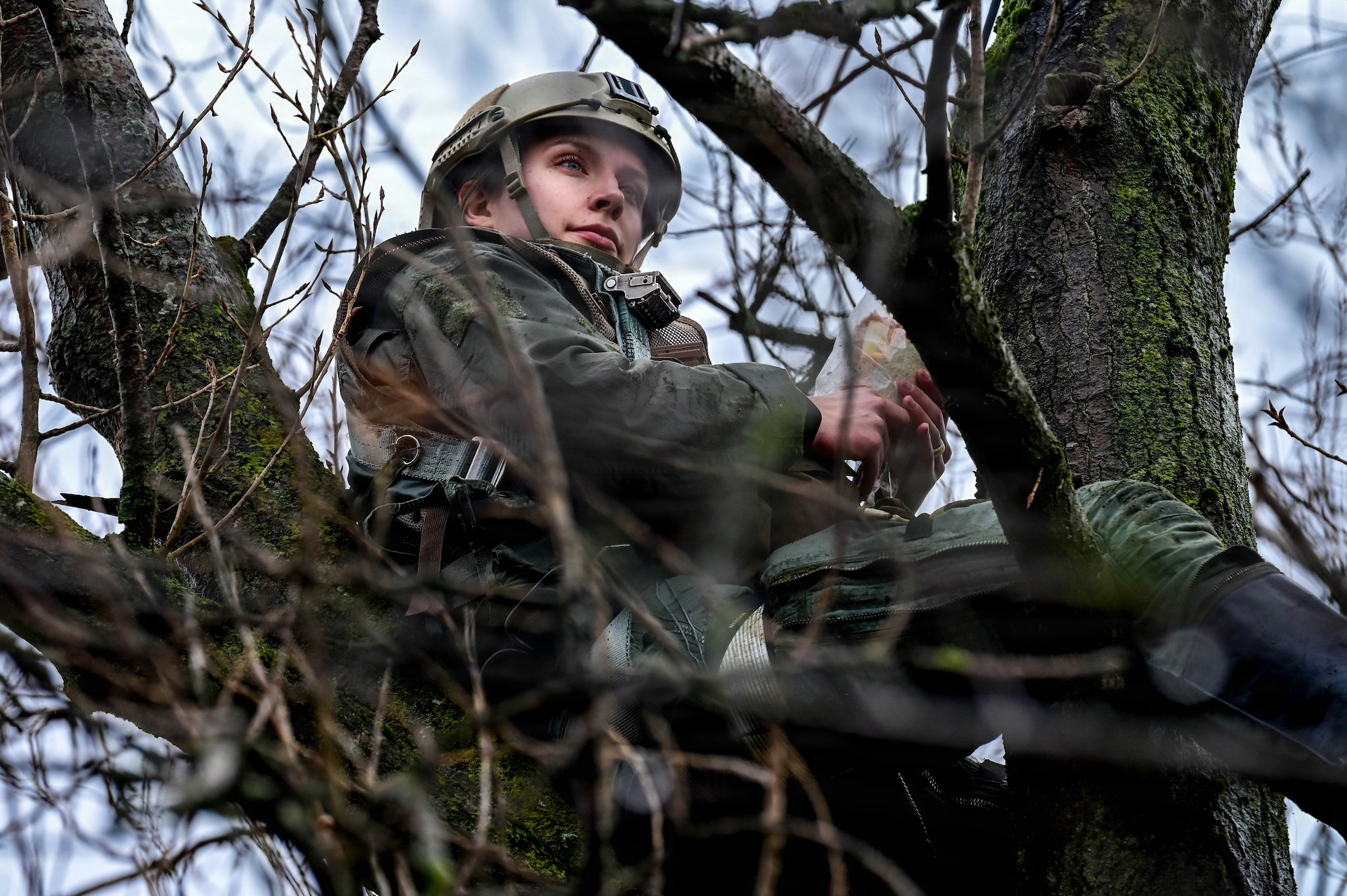 Servicemember sitting on top of a tree.