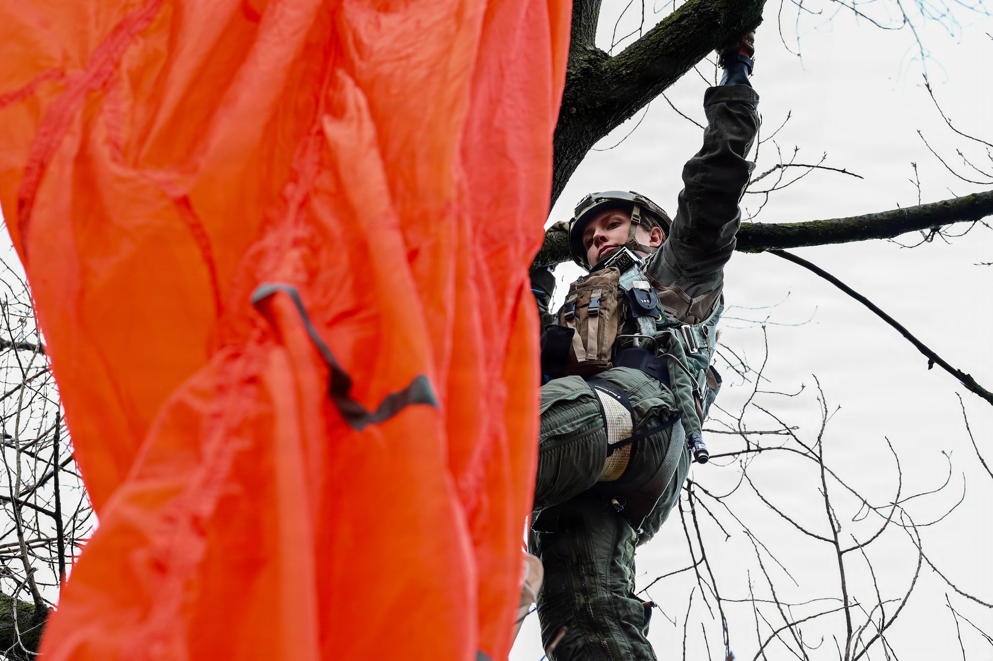 Servicemember climbs a tree