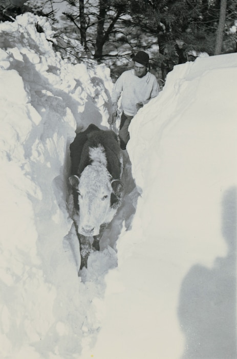 Photo of disaster relief operations during the Blizzard of 1949