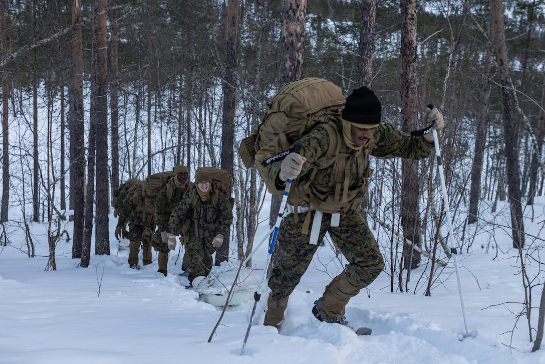 U.S. Marines with 2nd Battalion, 6th Marine Regiment, 2nd Marine Division, travel on skis during a tactical movement as part of exercise Cold Response 26 in Setermoen, Norway, Feb. 3, 2026. Exercise Cold Response 26 is a Norwegian-led winter military exercise designed to enhance collective defense capabilities and ensure U.S. readiness to rapidly deploy and seamlessly operate alongside NATO Allies in challenging arctic conditions. (U.S. Marine Corps photo by Cpl. Judith Ann Lazaro)