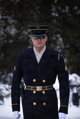 An Army Soldier in ceremonial winter coat with white gloves is standing at attention and there is snow on the ground in the background.