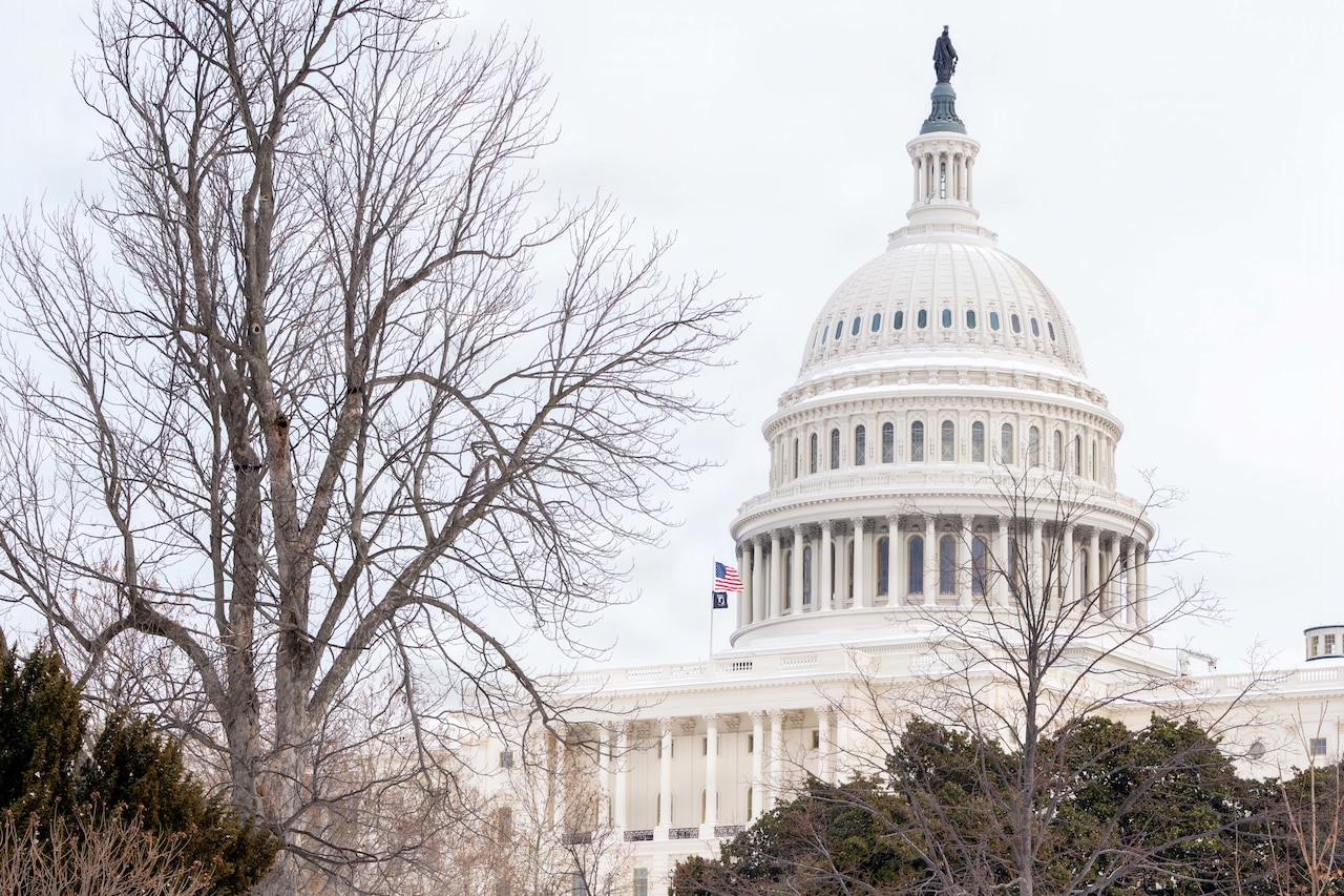 The U.S. Capitol building is flanked by trees in the winter with two flags flying to the left of the dome.
