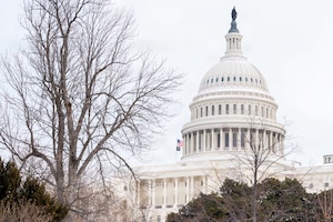 The U.S. Capitol building is flanked by trees in the winter with two flags flying to the left of the dome.