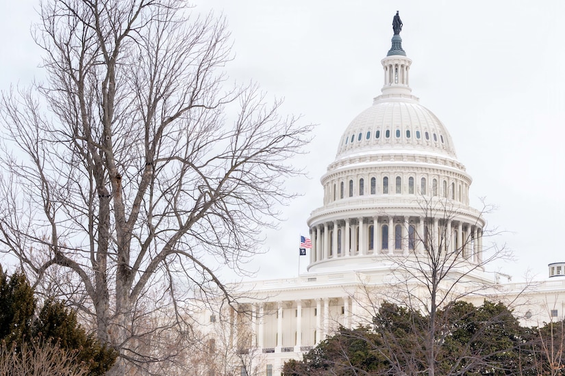 The U.S. Capitol building is flanked by trees in the winter with two flags flying to the left of the dome.