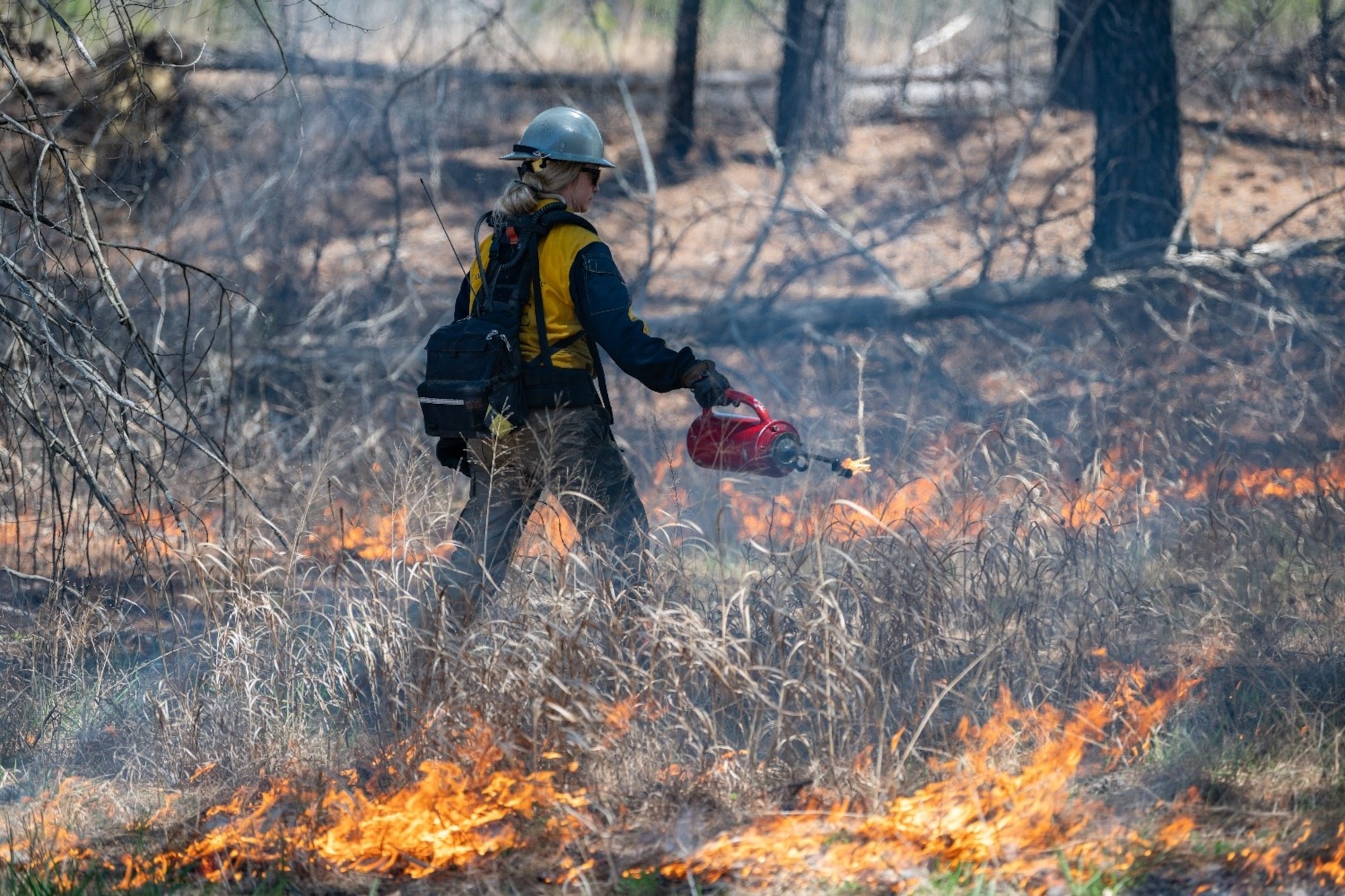 A member of the U.S. Air Force Wildland Fire Branch team from Beale Air Force Base ignites foliage to execute a prescribed burn on acreage surrounding Arnold AFB, Tenn., March 26, 2025. The Arnold Air Force Base Natural Resources team is set to begin prescribed burns later this month and continue throughout March. Prescribed fire allows land managers to alter and improve the native ecosystems without utilizing more costly methods such as mulching, mowing and herbicide applications. (U.S. Air Force photo by Keith Thornburgh)