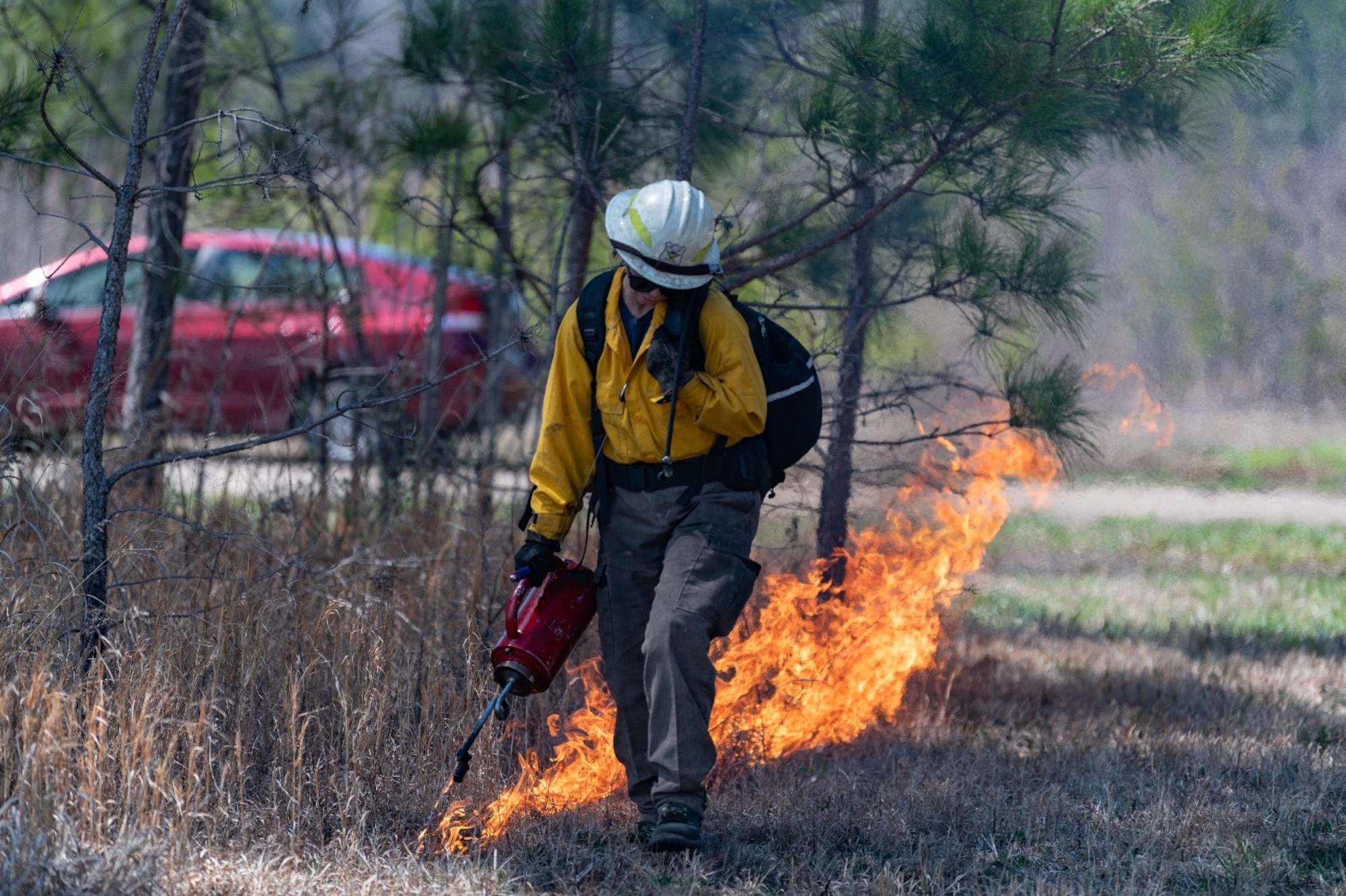 A member of the U.S. Air Force Wildland Fire Branch team from Shaw Air Force Base ignites foliage to execute a prescribed burn on acreage surrounding Arnold AFB, Tenn., March 26, 2025. The Arnold Air Force Base Natural Resources team is set to begin prescribed burns later this month and continue throughout March. Prescribed fire allows land managers to alter and improve the native ecosystems without utilizing more costly methods such as mulching, mowing and herbicide applications. (U.S. Air Force photo by Keith Thornburgh)