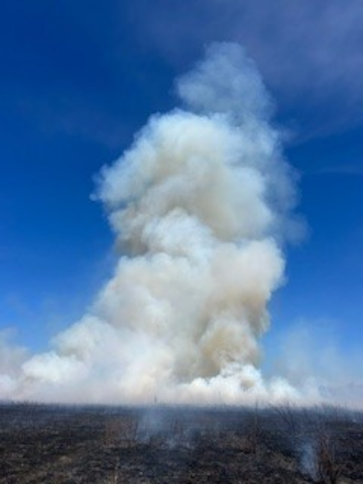 A cloud of smoke is visible following a previous prescribed burn operation at Arnold Air Force Base, Tenn. The Arnold AFB Natural Resources team is set to begin prescribed burns later this month and continue throughout March. Prescribed fire allows land managers to alter and improve the native ecosystems without utilizing more costly methods such as mulching, mowing and herbicide applications. (U.S. Air Force photo by Jeffrey Page)