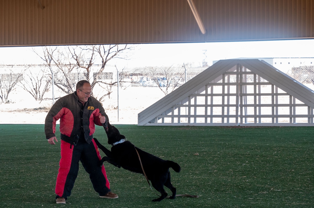 Retired U.S. Air Force Maj. Jason Esquell, Lake View High School Junior Reserve Officers’ Training Corps Instructor, gets bitten by a military working dog as a part of a Security Forces K-9 demonstration at Goodfellow Air Force Base, Texas, Feb. 4, 2026. The immersion helped bridge classroom learning with real-world military applications. (U.S. Air Force photo by Senior Airman James Salellas)
