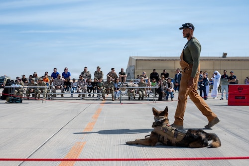 A military working dog lies on the ground as its handler stands next to it. People sit on bleachers in the background spectating.