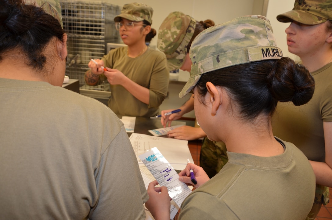 During the Patient Tray Services block of instruction in the Medical Education and Training Campus Nutrition & Diet Therapy course, trainees apply classroom knowledge in a hands-on kitchen laboratory environment that mirrors real-world clinical food service operations. This training reinforces the critical role Army and Air Force nutrition care specialists play in patient care and recovery within fixed medical facilities.