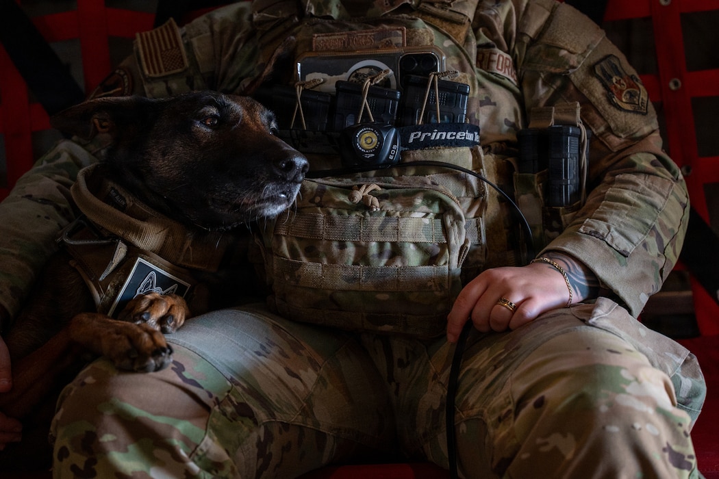 Dog and Airman