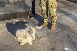A man dressed in a camouflage military uniform and sunglasses holds the leash of a small fluffy white dog while standing next to a Metro station.