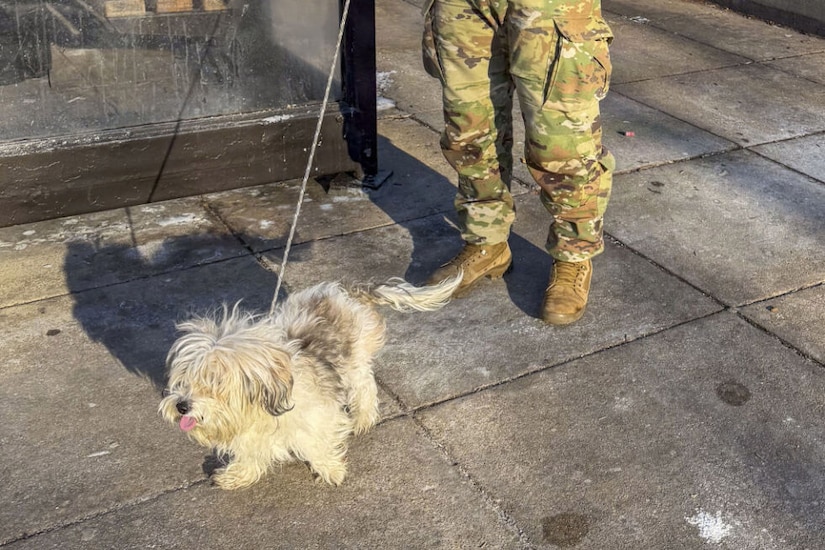 A man dressed in a camouflage military uniform and sunglasses holds the leash of a small fluffy white dog while standing next to a Metro station.