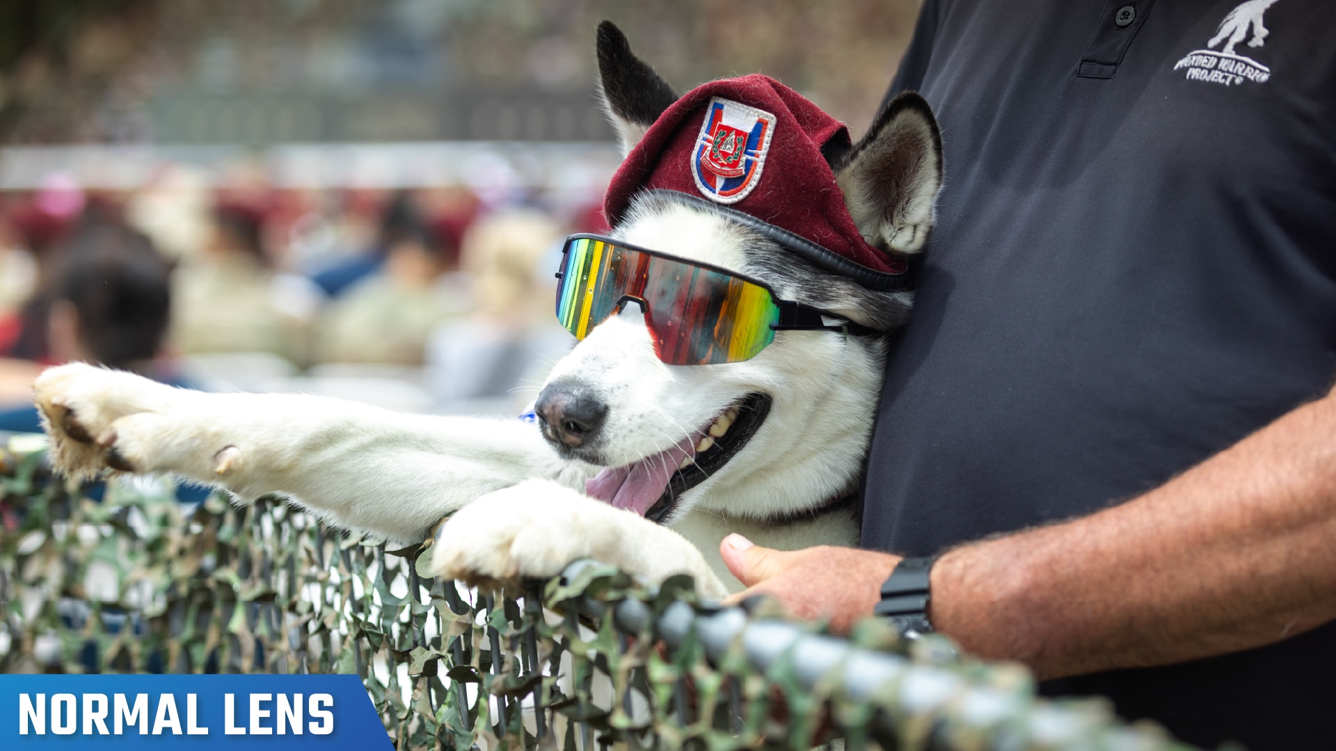 A dog, wearing sunglasses and a hat, has his front paws on a fence while appearing next to his owner, with the label "normal lens" in the bottom left corner.