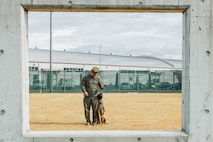 Photo by Cpl. Sarah Grawcock