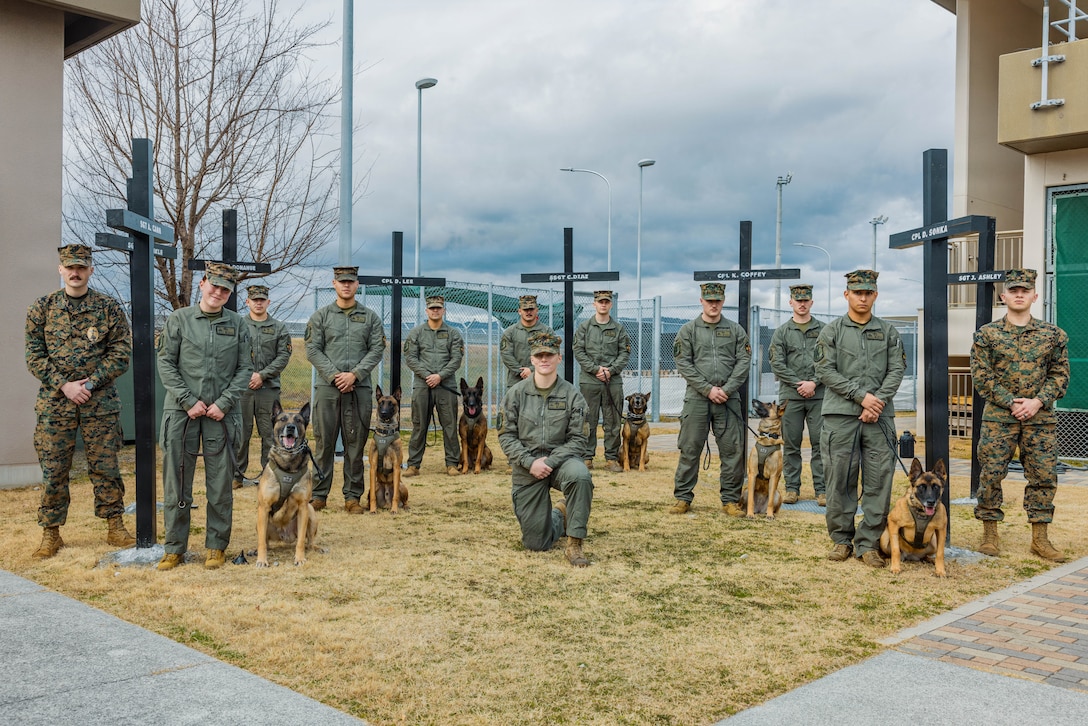 U.S. Marines Corps military working dog handlers with Headquarters and Headquarters Squadron, Marine Corps Air Station Iwakuni pose for a photo with military working dogs in front of a memorial at MCAS Iwakuni, Japan, Jan. 20, 2026. Sgt. Jesse Pena and the military working dog handlers at MCAS built a memorial for eight k9 handlers who lost their life in Iraq and Afghanistan. (U.S. Marine Corps photo by Cpl. Sarah Grawcock)