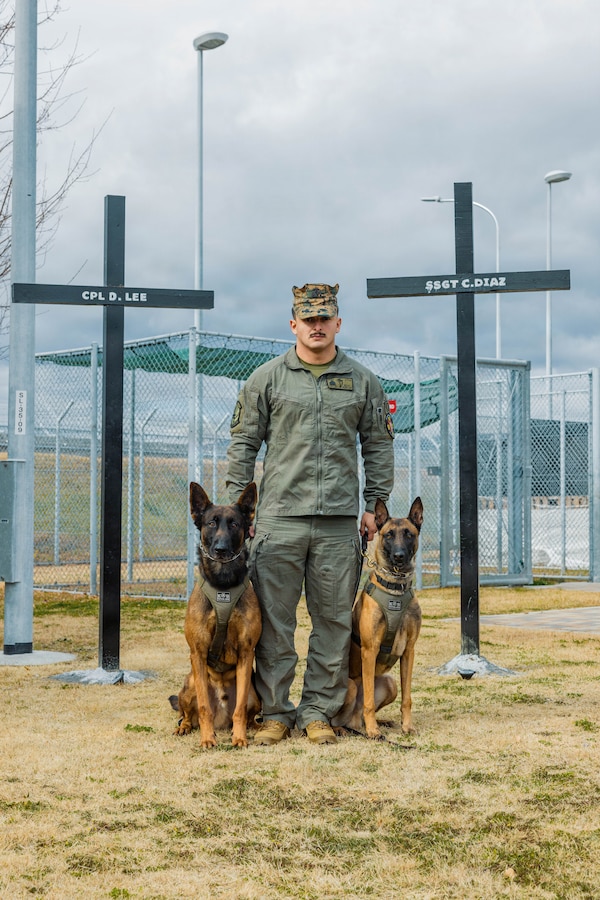 U.S. Marine Corps Sgt. Jesse Pena, a military working dog handler with Headquarters and Headquarters Squadron, Marine Corps Air Station Iwakuni, and a native of Texas, poses for a photo with military working dogs in front of a memorial at MCAS Iwakuni, Japan, Jan. 20, 2026. Pena and the military working dog handlers at MCAS built a memorial for eight k9 handlers who lost their life in Iraq and Afghanistan. (U.S. Marine Corps photo by Cpl. Sarah Grawcock)