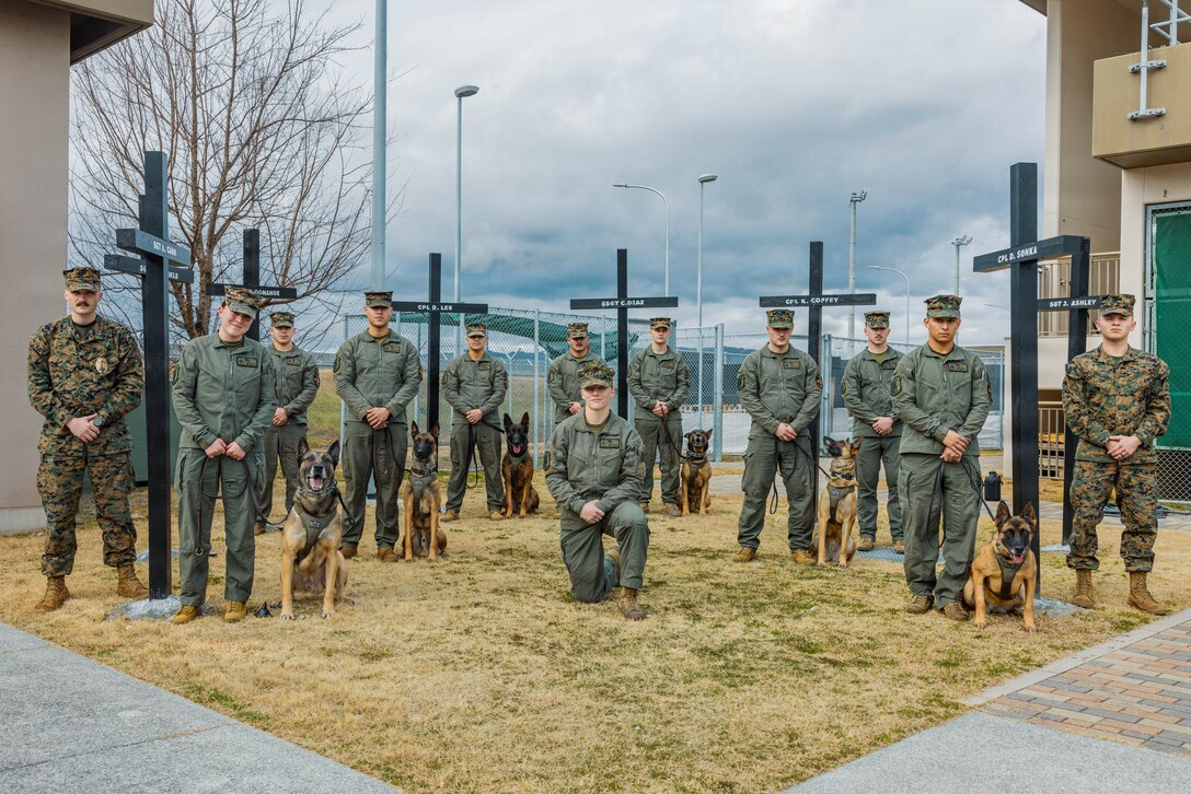 U.S. Marines Corps military working dog handlers with Headquarters and Headquarters Squadron, Marine Corps Air Station Iwakuni pose for a photo with military working dogs in front of a memorial at MCAS Iwakuni, Japan, Jan. 20, 2026. Sgt. Jesse Pena and the military working dog handlers at MCAS built a memorial for eight k9 handlers who lost their life in Iraq and Afghanistan. (U.S. Marine Corps photo by Cpl. Sarah Grawcock)