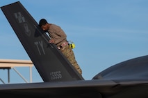 maintainer stands on fighter jet