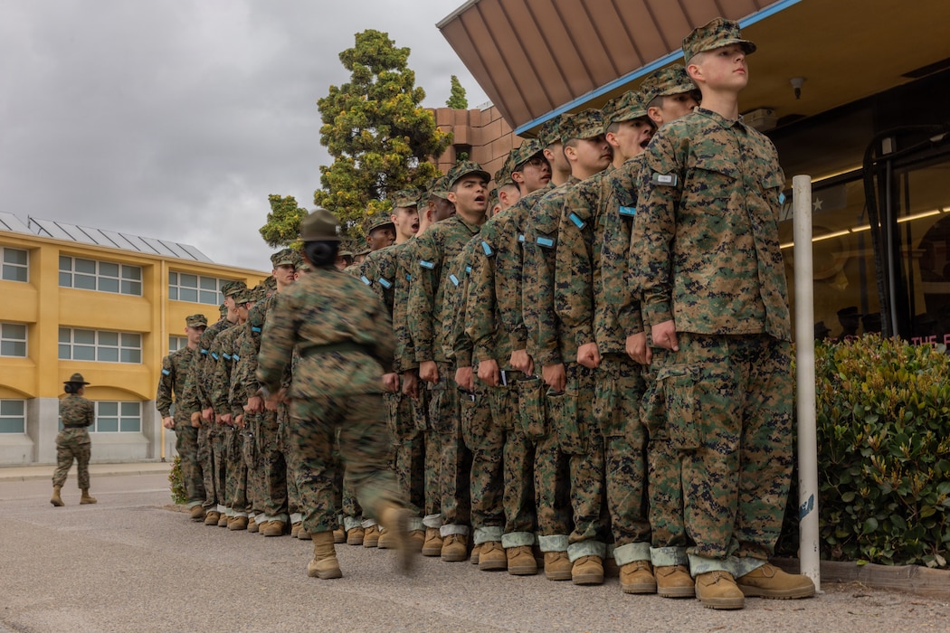 Mike Company Haircut Call