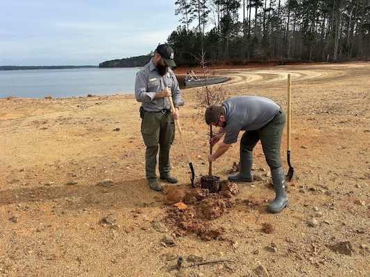 Evan Brashier, a conservation biologist, and Adam Weatherford, chief of the Forest, Fish and Wildlife Section for the J. Strom Thurmond Dam and Lake Project, U.S. Army Corps of Engineers, Savannah District, plant bald cypress trees at hazardous shoal locations at J. Strom Thurmond Lake on Jan. 12, 2026.