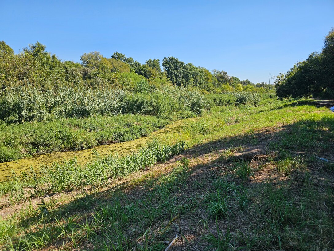 Continuing Authorities Program, section 1135,  covering the Boggy Creek