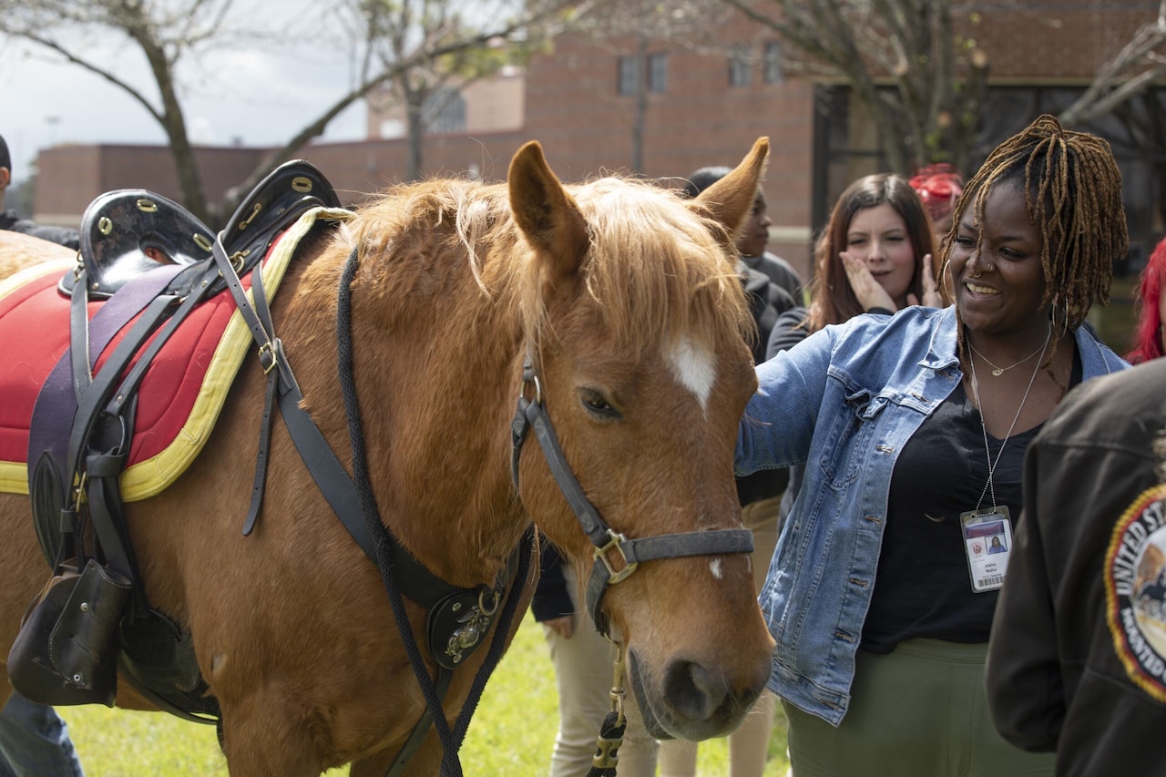 A woman in casual attire smiles while petting a horse. Another woman in similar attire in the background looks excited, placing her hands on her face.